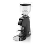 Fiorenzato F4 Evo Coffee Grinder